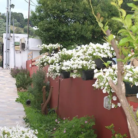 Aspa Victoria Troulos